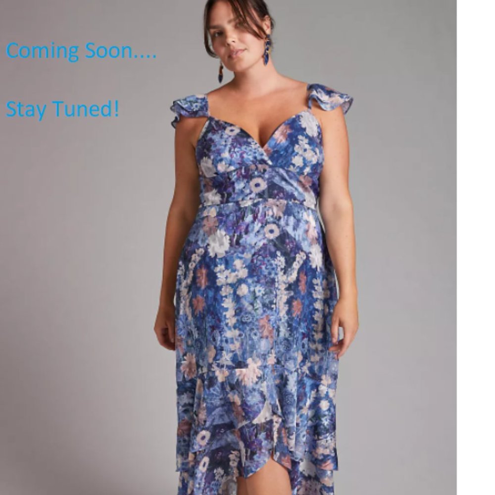 Anthropologie Hutch Ruffled Midi Dress